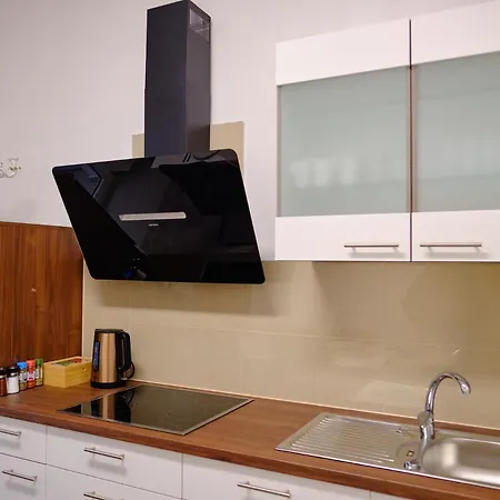 Apartment Primetime Fuer 8+kueche/wifi